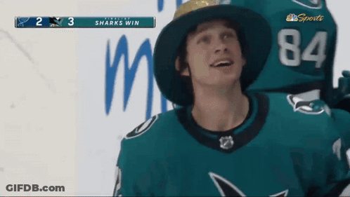 Hockey Player With Hat And Number 84 Jersey GIF