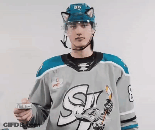 Hockey Player With Helmet 85 Holding Puck GIF