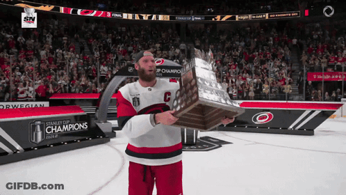 Hockey Player With Trophy And Champions Banner GIF