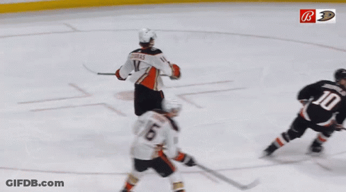 Hockey Player Zebras On Jersey GIF