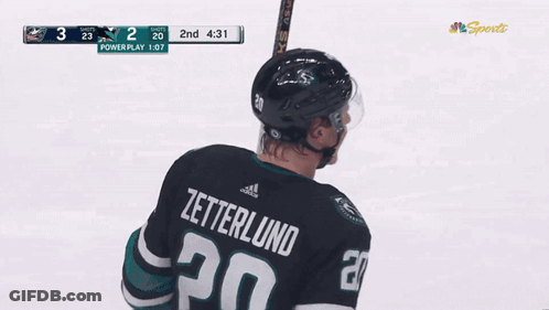 Hockey Player Zetterlund GIF