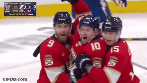 Hockey Players Celebrate Goal GIF