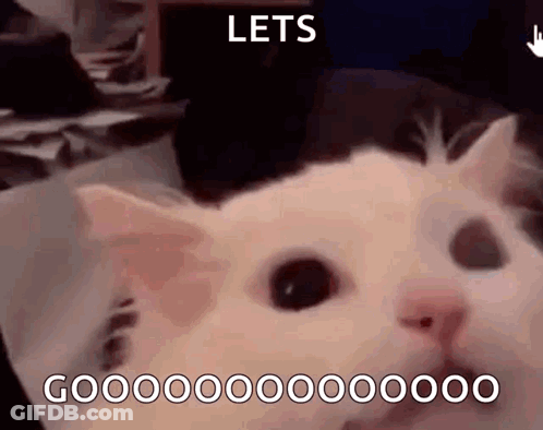Hockey Players Celebrating Goal Sponsored By TSN GIF