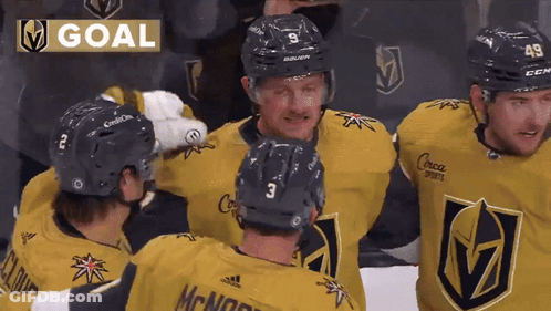 Hockey Players Celebrating Goal With Banner GIF