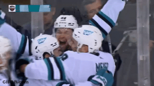 Hockey Players Celebrating In Sap Helmets GIF