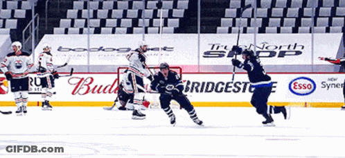 Hockey Players Ehlers And Number 27 GIF