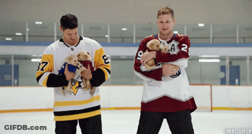Hockey Players Holding Puppies GIF
