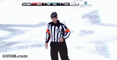 Hockey Referee Says You Can't Do That GIF