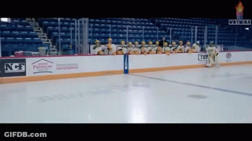 Hockey Rink With Propane Ad GIF