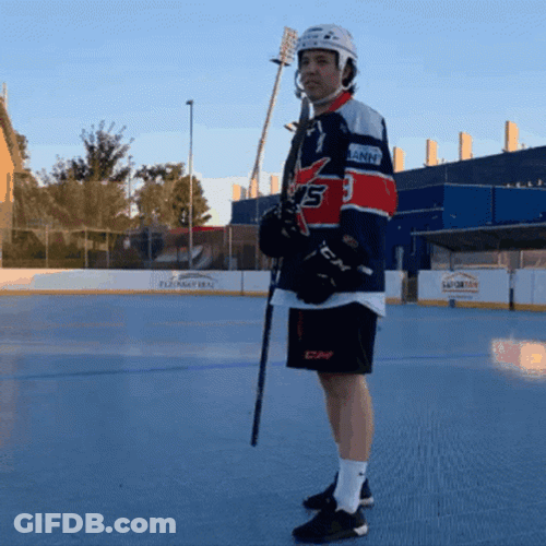 Hockey Snurs Stars GIF