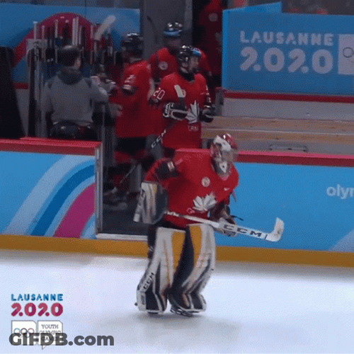 Hockey Vincent Skiing GIF