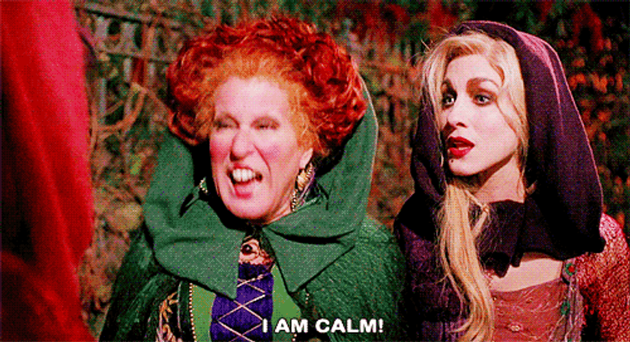 Hocus Pocus Winifred I Am Calm GIF