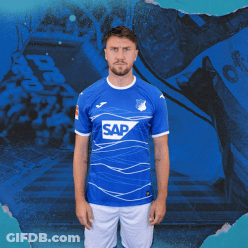 Hoffenheim Jersey Berhalter GIF