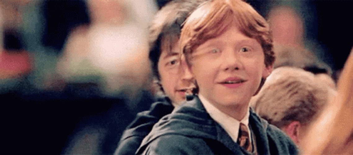 Hogwarts Harry Potter And Ron GIF