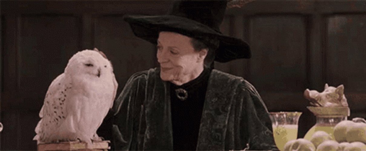 Hogwarts Minerva McGonagall GIF