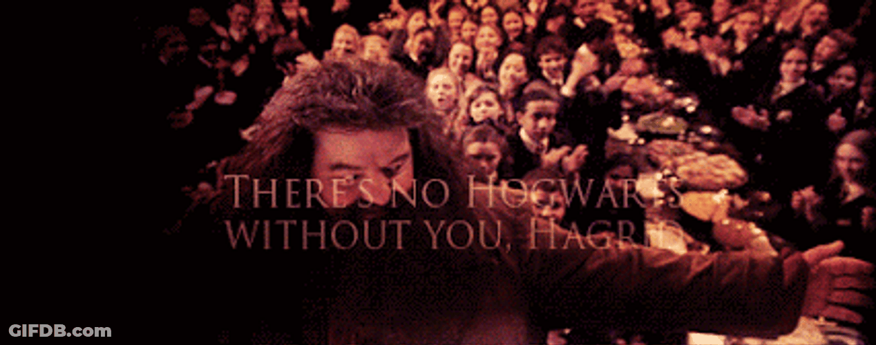 Hogwarts Without Rubeus Hagrid GIF
