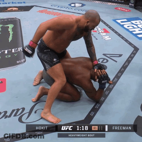 Hokit Vs Freeman Heavyweight Bout UFC 1:18 GIF