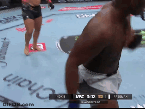 Hokit Vs Freeman UFC Heavyweight Bout GIF