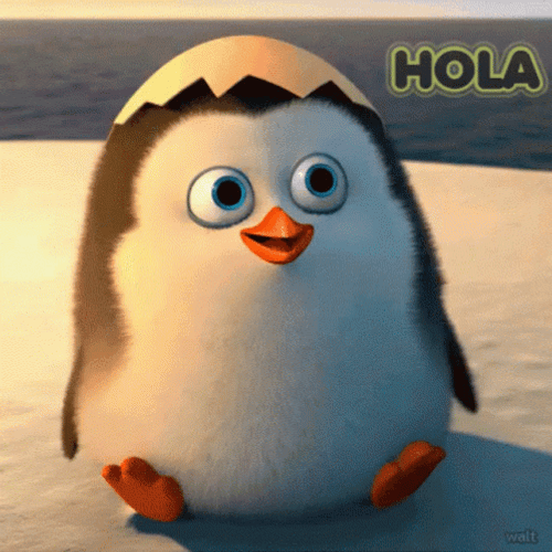 Hola Cute Penguin GIF