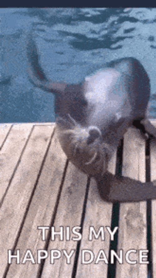 Hola GIF