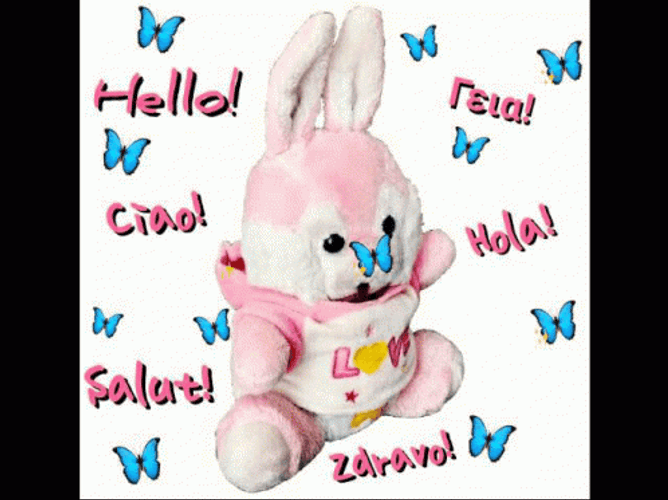 Hola Stuff Toy GIF