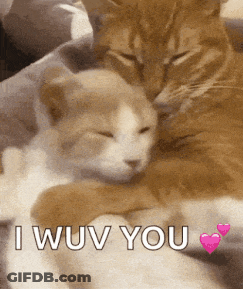 Holaroberto3 GIF