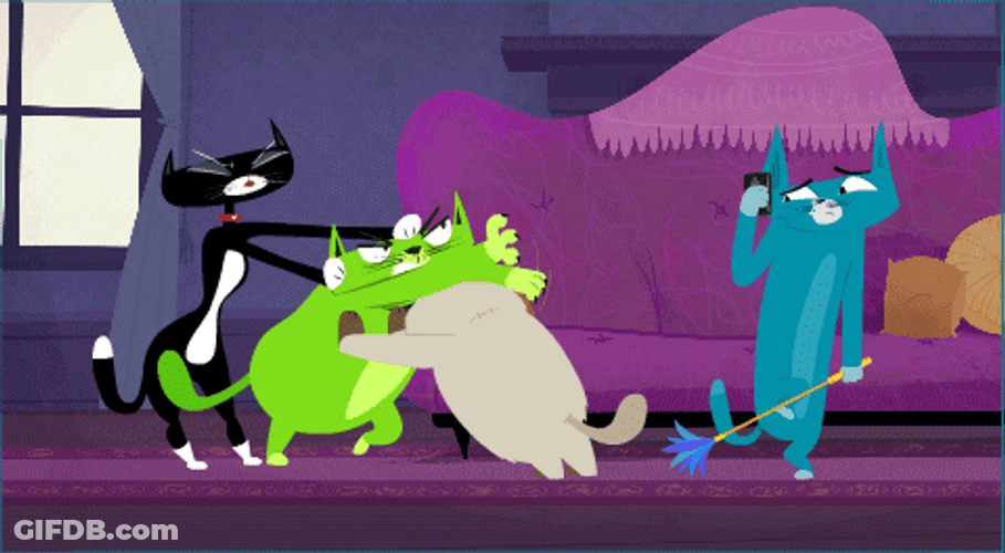 Hold Me Back Kitty Is Not A Cat GIF