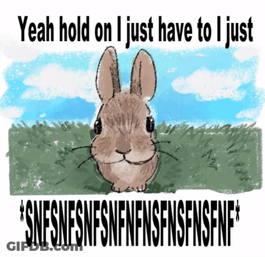 Hold On Bunny Sniff GIF