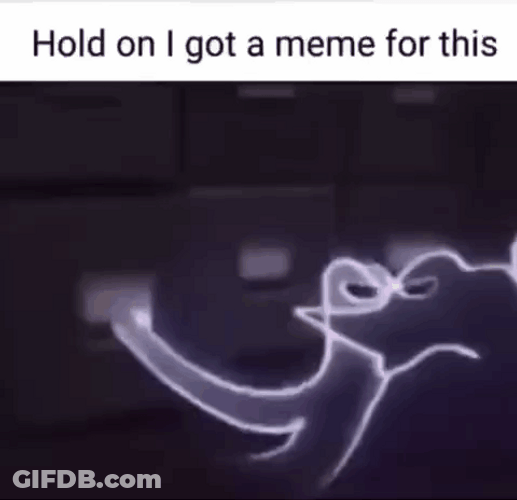 Hold On Got Meme For This GIF