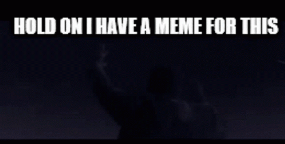 Hold On Meme For This Universe GIF