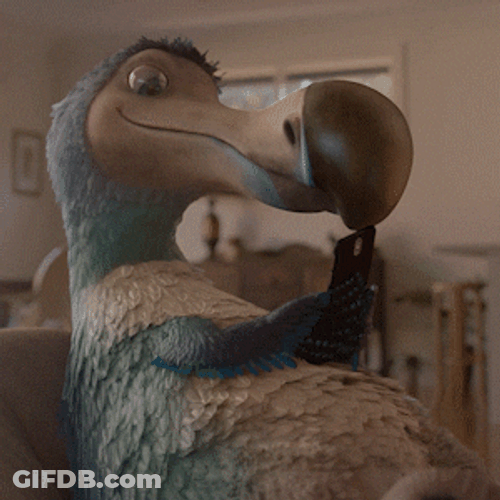Hold Up Dodo Read His Message First GIF