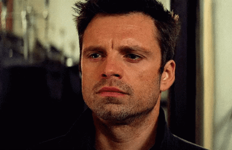 Holding Back Sebastian Stan GIF