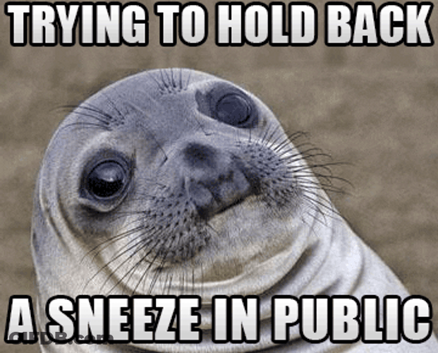 Holding Back To Sneeze In Public GIF