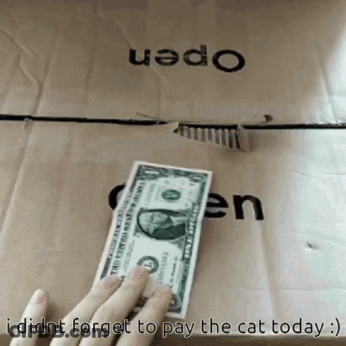 Holding Dollar Bill Before Box Saying Open GIF