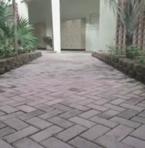 Holding Hands Trick Self Love GIF