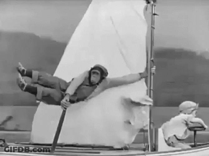 Holding On Monkey Sailing And Flying GIF