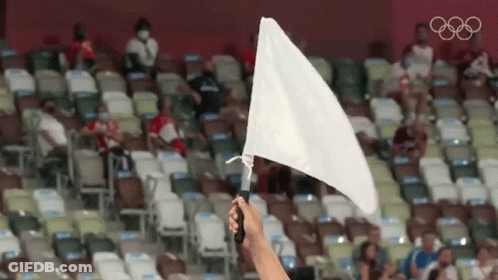 Holding White Flag In Stadium With Olympic Rings GIF