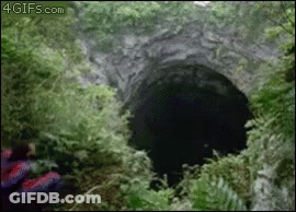 Hole In A Forest GIF
