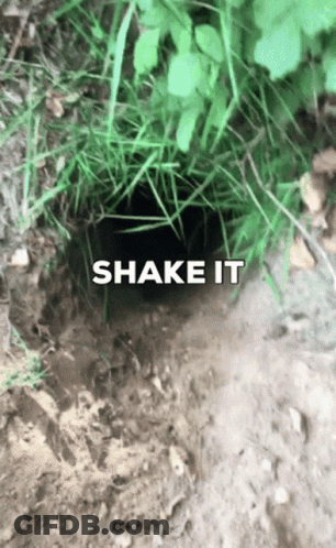 Hole In The Ground Saying Shake It GIF