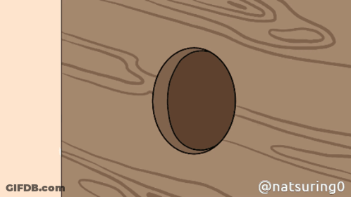 Hole In Wooden Wall Natsuring0 GIF