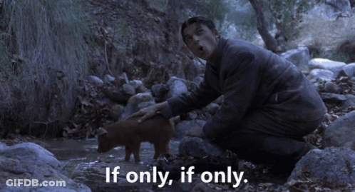 Holes If Only GIF
