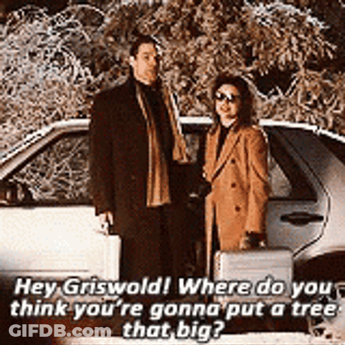 Holiday Season Clark Griswold Christmas Lights GIF