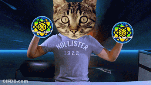 Hollister 1922 T-Shirt With Cat Head GIF