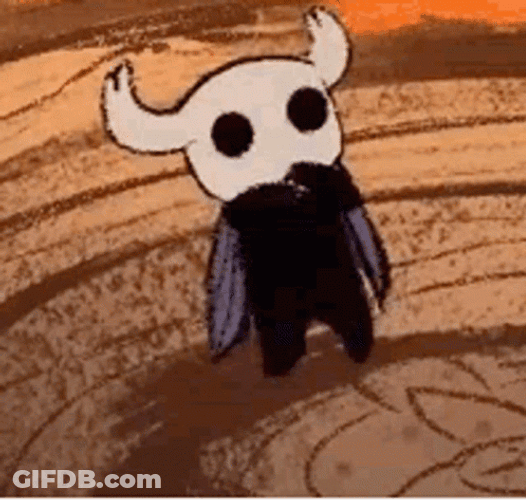 Hollow Knight GIF