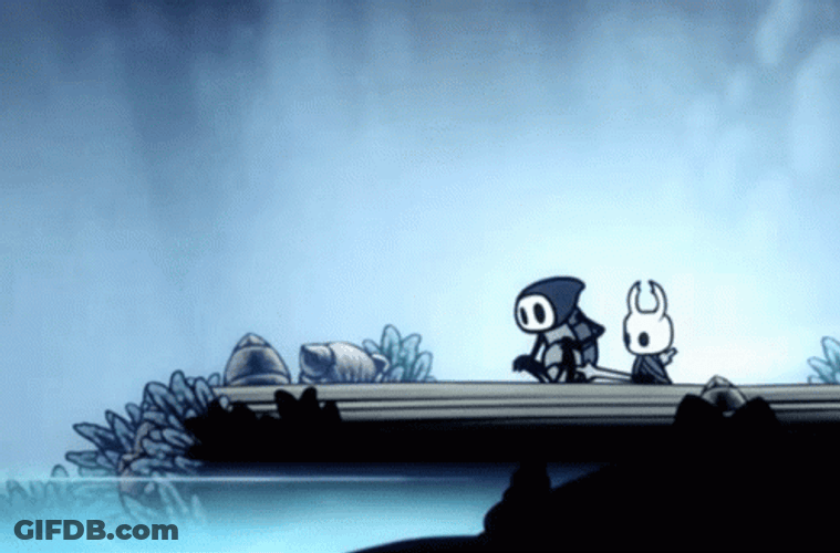 Hollow Knight And Hornet  Relaxing GIF