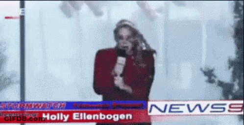 Holly Ellenbogen Is A News Anchor For The Stormwatch Channel GIF