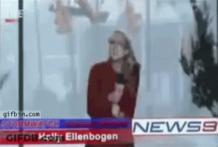 Holly Ellenbogen News Anchor On News 9 GIF