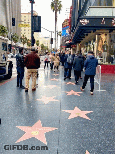 Hollywood Blvd Walk Of Fame GIF