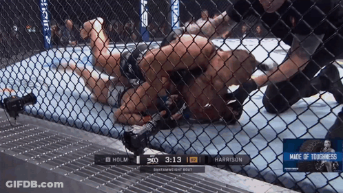Holm And Harrison Fight GIF
