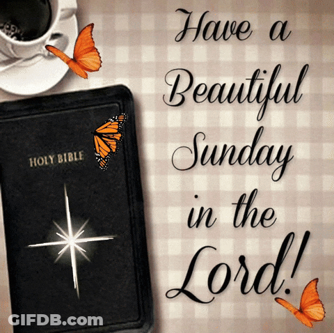 Holy Bible With Butterflies And Sunday In The Lord GIF
